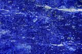 Polished Lapis Lazuli - Pakistan #149473-1